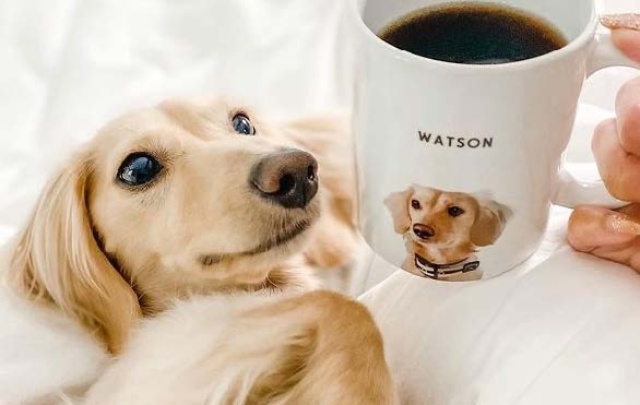 Custom Pet Print Coffee Mug